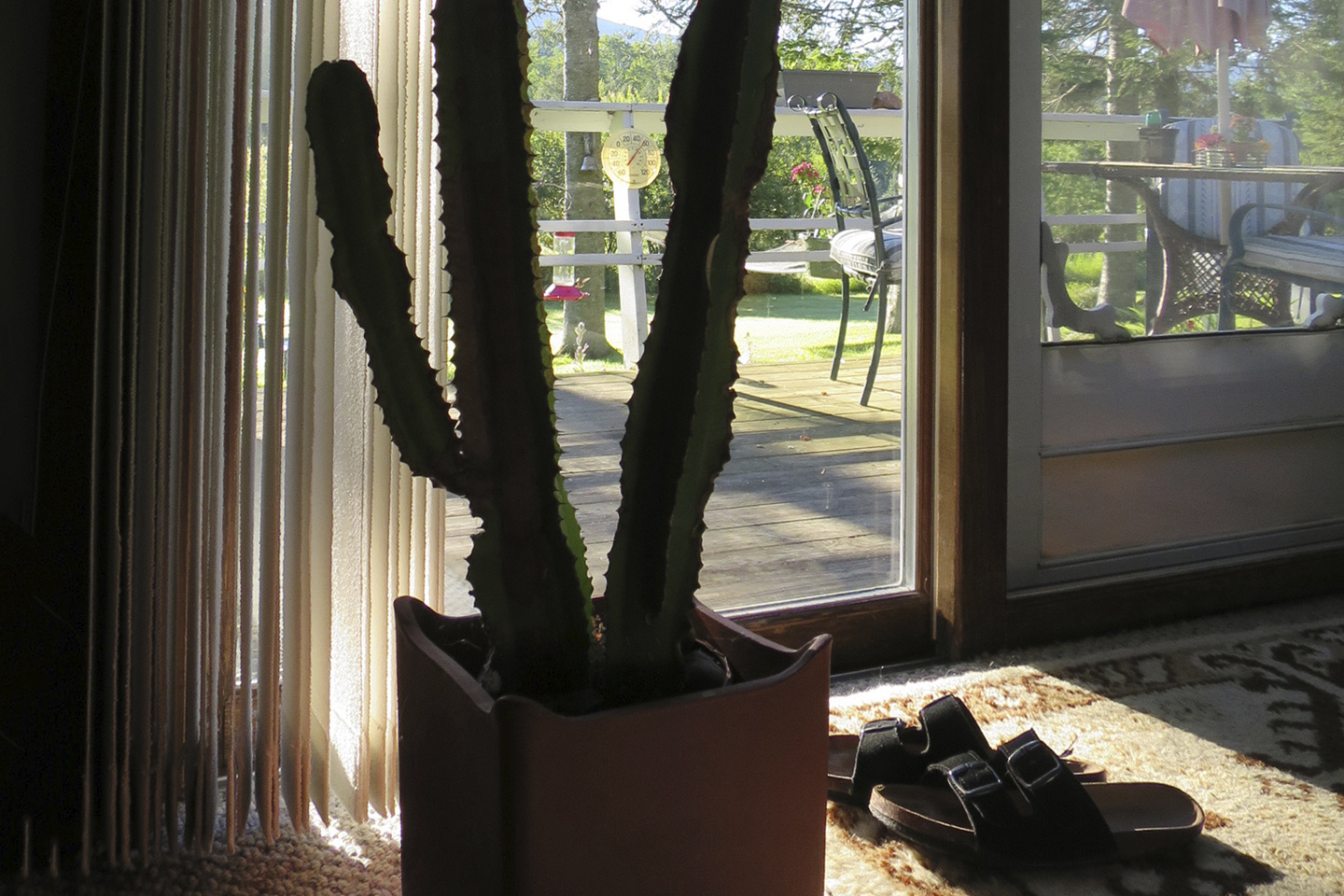 Sliding glass door to deck